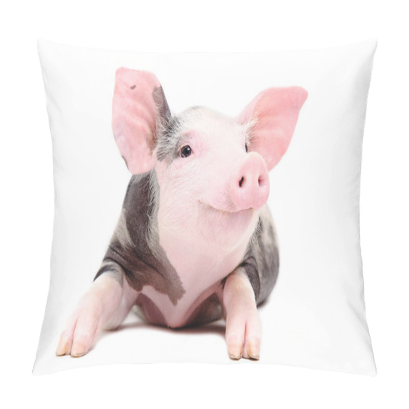 Personality  Portrait Of The Funny Little Pig Pillow Covers