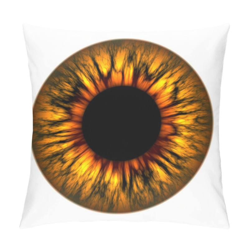 Personality  Fire Eye Pillow Covers