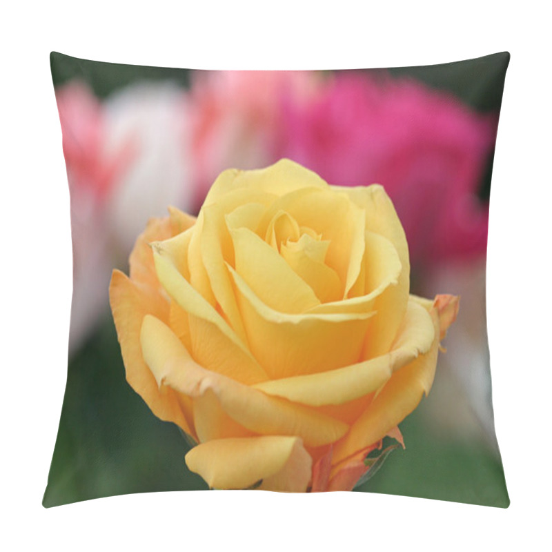 Personality  Yellow Rose Foreground Pillow Covers