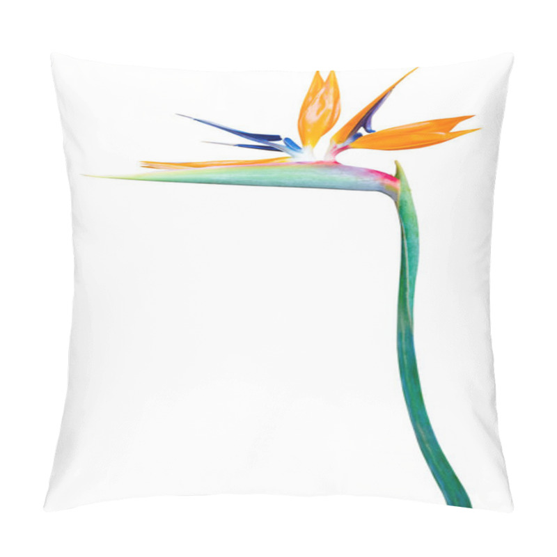 Personality   Tropical Flower Isolated On White Background Pillow Covers