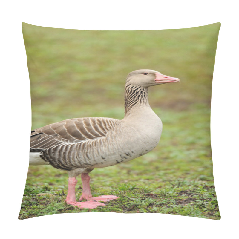 Personality  Grey Geese Pillow Covers