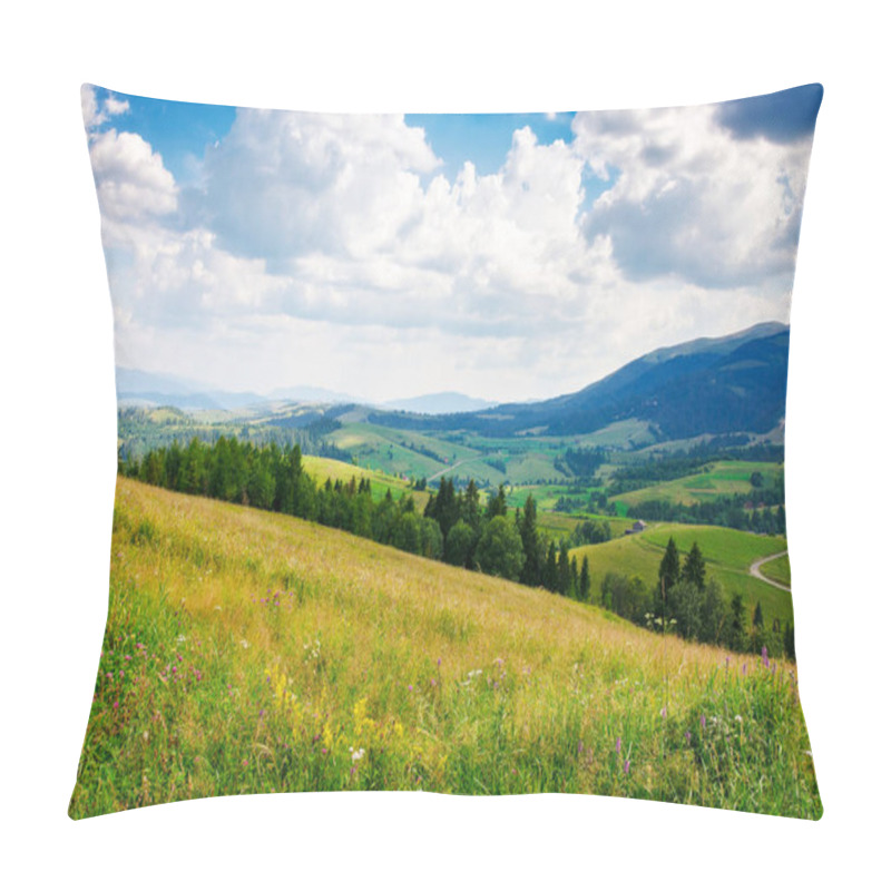 Personality  Field On The Hill In Carpathian Mountains. View In To The Rural Valley. Alpine Scenery Of Ukraine In Summer. Sunny Day With Fluffy Clouds On The Sky. Countryside Landscape Pillow Covers