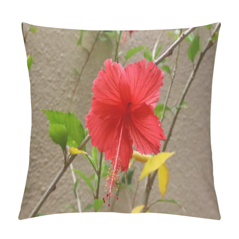 Personality  An Insect In A Flower Is A Vital Pollinator, Collecting Nectar And Spreading Pollen. Bees, Butterflies, And Beetles Play Key Roles, Showcasing Natures Beauty And Interconnectedness For Plant Reproduction. Pillow Covers