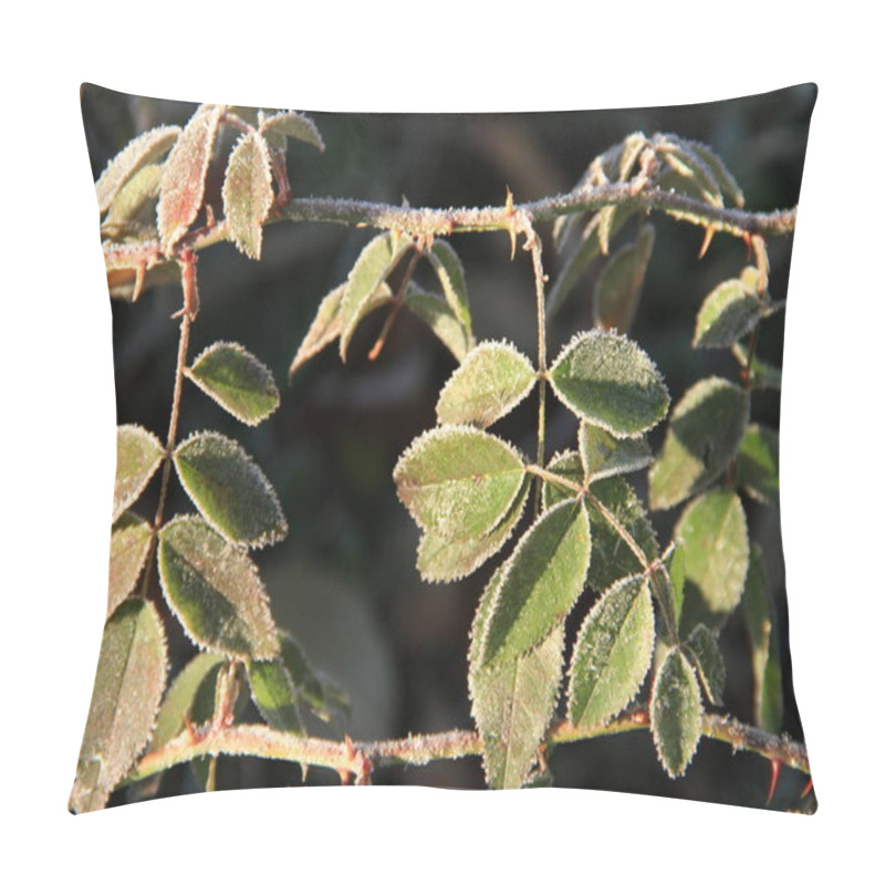 Personality  Pictures Of A Cold Morning On An Autumn Leaf. Background With Frost For Phones And Tablets. Cold Morning. Form, Texture And Structure In Nature. Pillow Covers