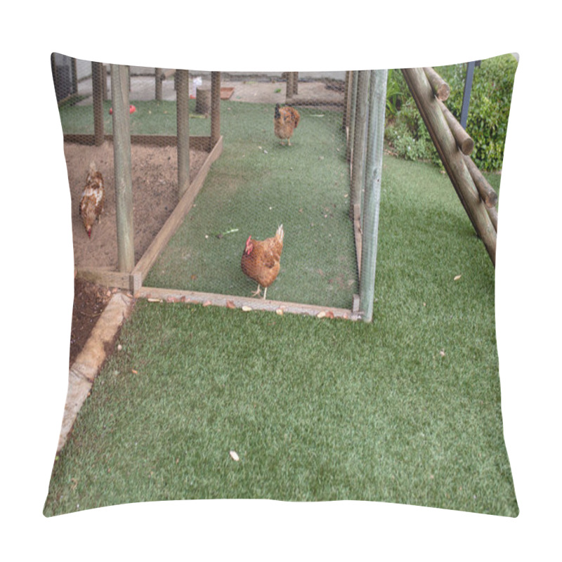 Personality  Brown Hens Inside Cage On Grass At Poultry Farm. Unaltered, Animal Husbandry And Farming Industry Concept. Pillow Covers