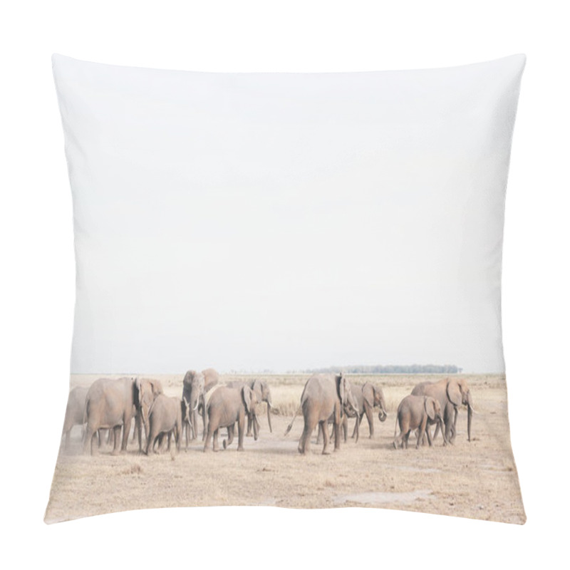 Personality  Herd Of Elephants In Desert Field Pillow Covers