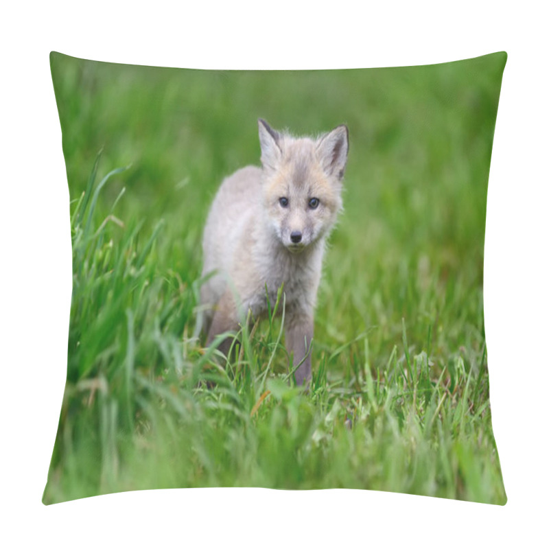 Personality  Fox Cub In Grass Pillow Covers