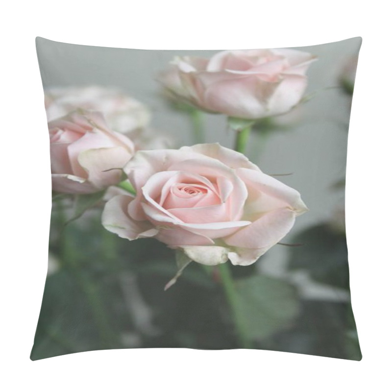 Personality  Close Up Of Rose Flowers Bouquet Indoor  Pillow Covers