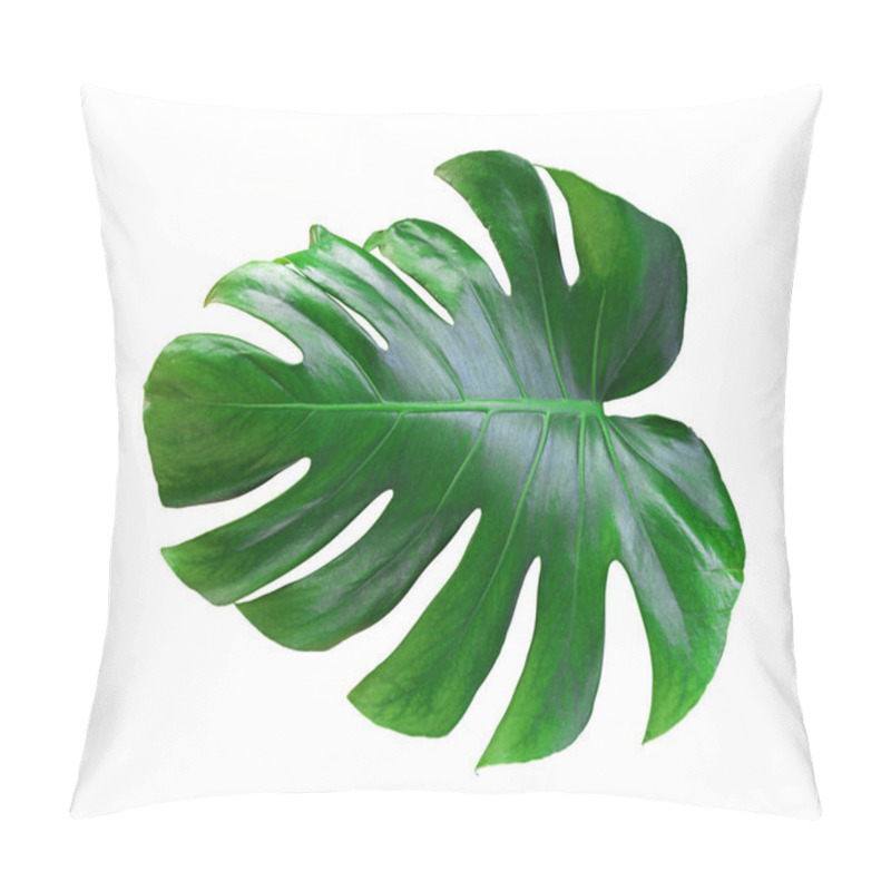 Personality  Monstera Leaf And Stem, Trendy Tropical Jungle Paradise Foliage Shape, Isolated On White Background Pillow Covers