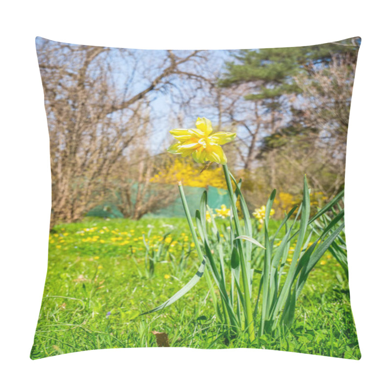 Personality  One Single Isolated Narcissus Pseudonarcissus (commonly Known As Wild Daffodil Or Lent Lily) In The Fresh Green Grass., Pillow Covers