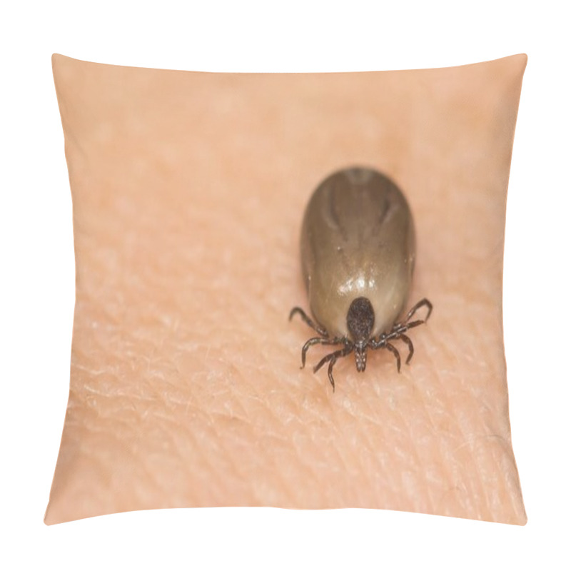 Personality  Engorged Female Deer Tick Removed From An Accidental Host. Pillow Covers