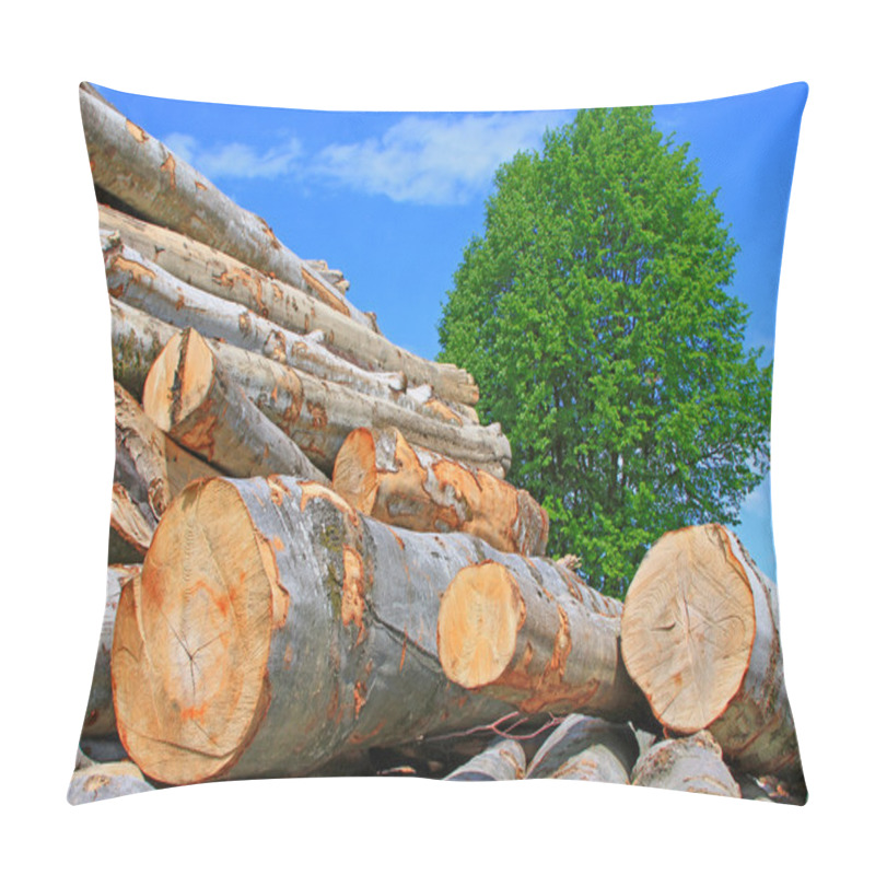 Personality  Wood Preparation Pillow Covers