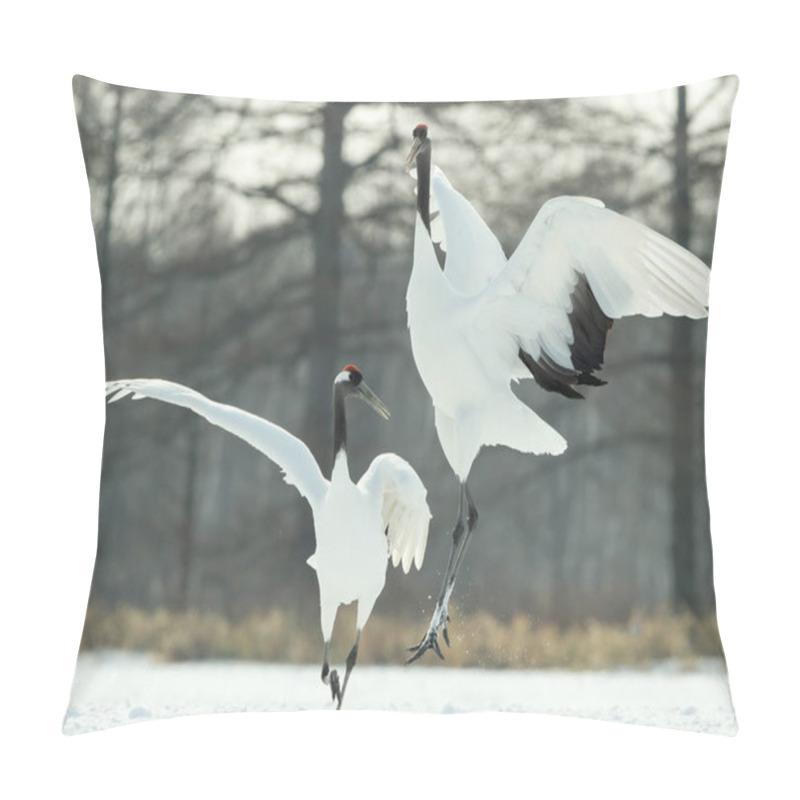 Personality  The Ritual Marriage Dance Of Cranes. The Red-crowned Cranes. Scientific Name: Grus Japonensis, Also Called The Japanese Crane Or Manchurian Crane, Is A Large East Asian Crane. Pillow Covers