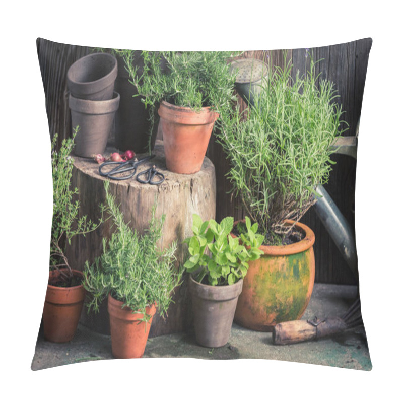 Personality  Fresh And Green Herbs In Rustic Garden Pillow Covers