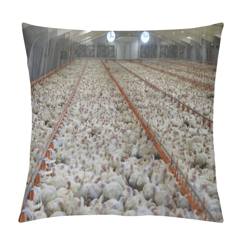 Personality  Meat Production Factory - Broiler Chickens. Pillow Covers