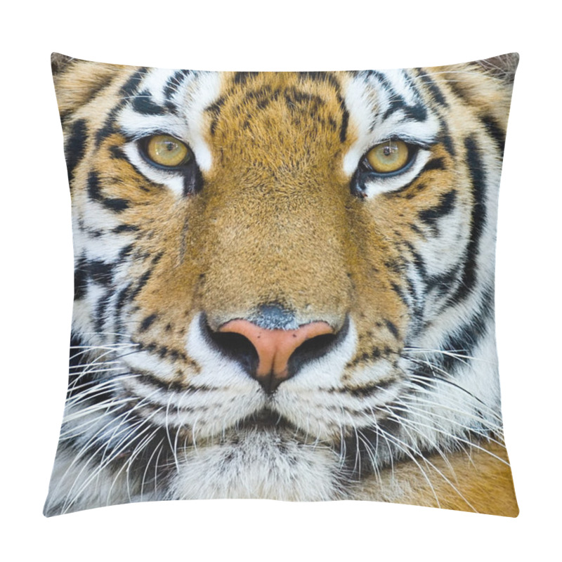 Personality  Tiger Isolated Pillow Covers