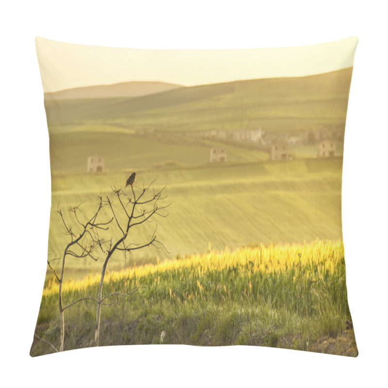 Personality  RURAL LANDSCAPE SPRING. Between Apulia And Basilicata:lone Sparrowt At Dawn.ITALY Pillow Covers