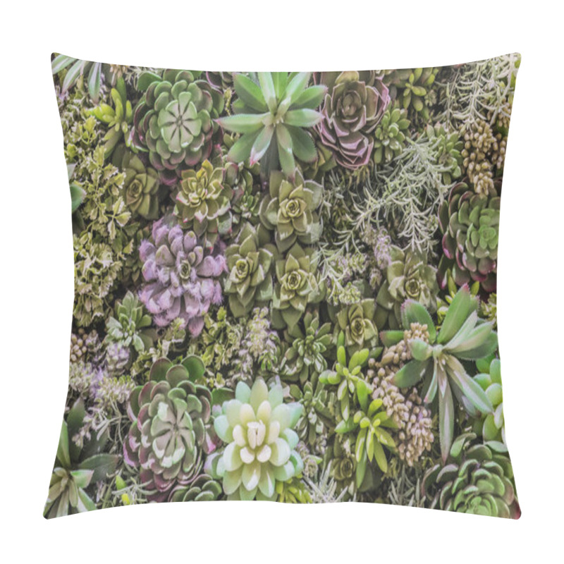 Personality  Plastic Synthetic Reproduction Of Succulents Flower Arrangement In Very High Concentration. Pillow Covers