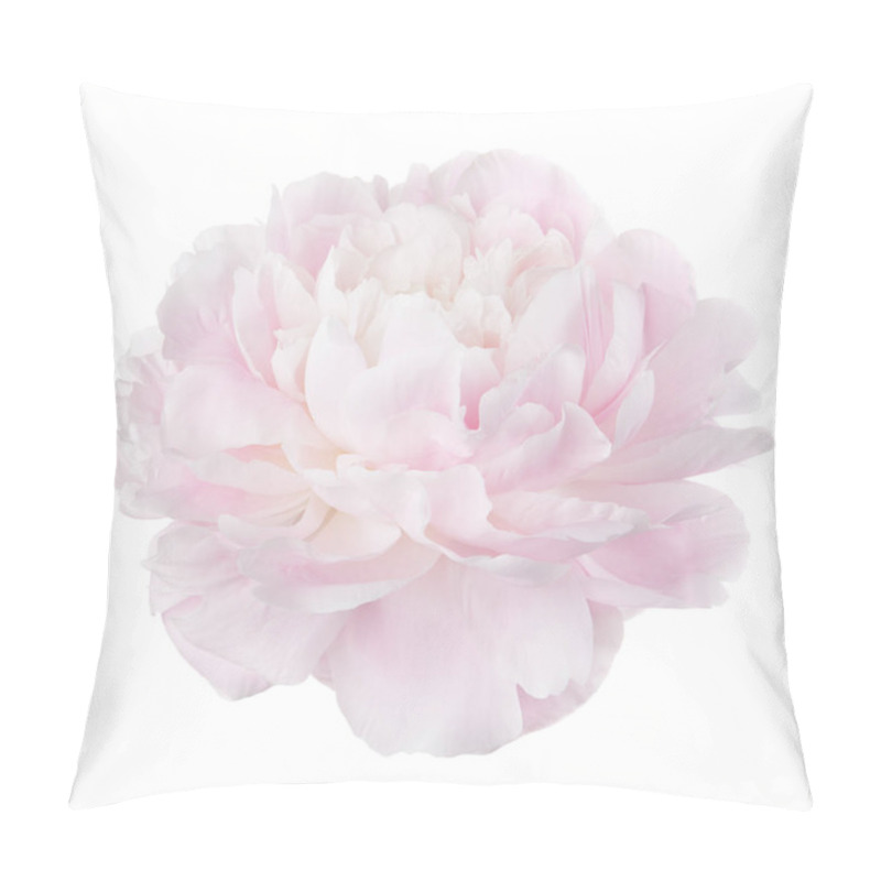 Personality  Close Up View Of Gentle Pink Peony, Floral Background  Pillow Covers