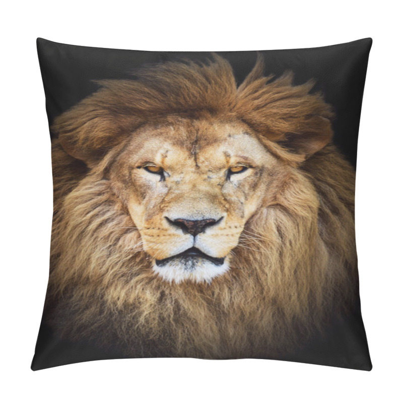 Personality  Portrait Of Huge Beautiful Male African Lion Against Black Backg Pillow Covers