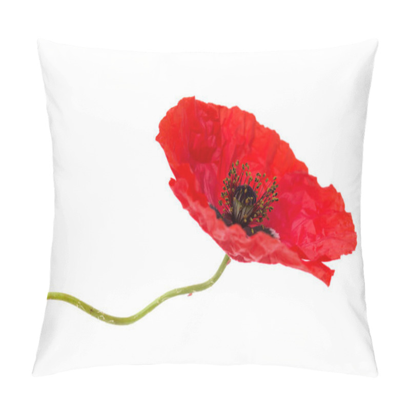 Personality  Flora Of Gran Canaria - Field Poppy Isolated On White Pillow Covers