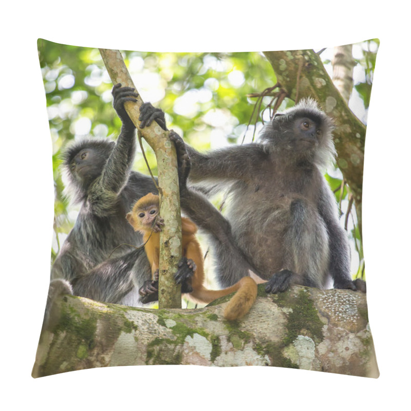 Personality  Silvered Leaf Langur Monkeys Pillow Covers