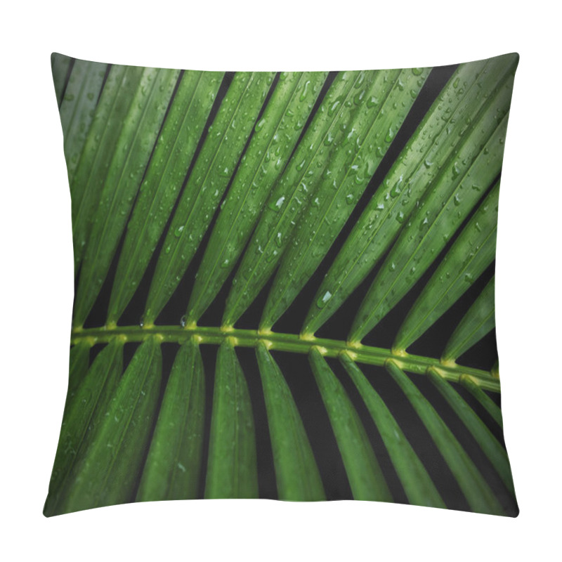 Personality  Green Tropical Leaves Yellow Palm With Water Drop Isolated On Black Background With Clipping Path Pillow Covers