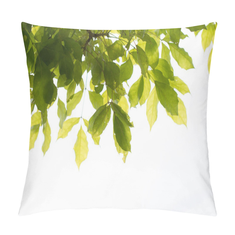 Personality  Green Tropical Leaves On White Background. Pillow Covers