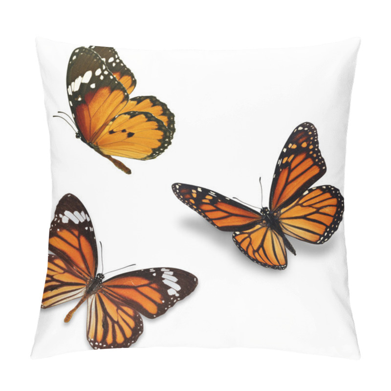 Personality  Three Monarch Butterfly Pillow Covers