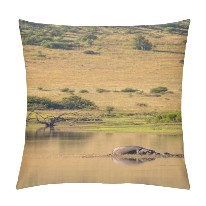 Personality  Hippo ( Hippopotamus Amphibius) By The Water, Sun Tanning, Pilanesberg National Park, South Africa. Pillow Covers