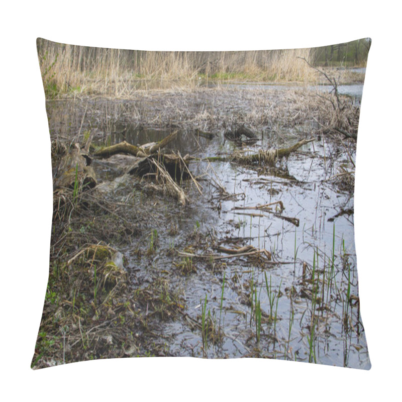 Personality  Swamp In A Forest Pillow Covers