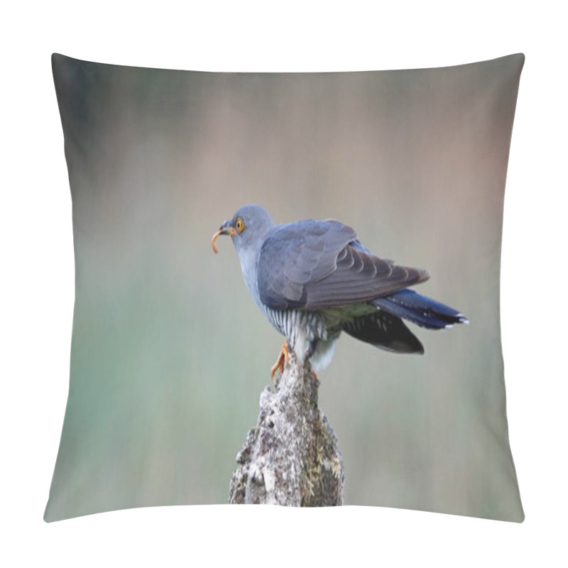 Personality  Male Cuckoo Feeding And Displaying Pillow Covers