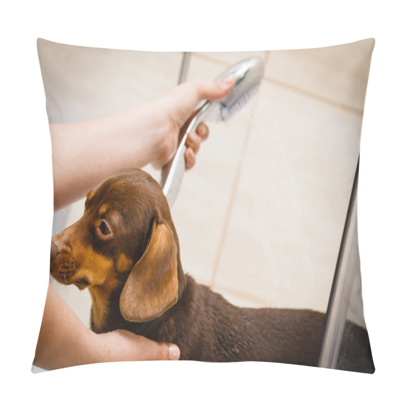 Personality  Woman Showering Her Dog Pillow Covers