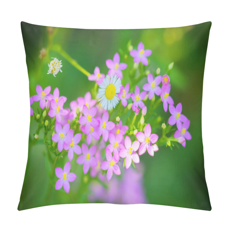 Personality  Centaurium Erythraea Flowers Flourished Pillow Covers