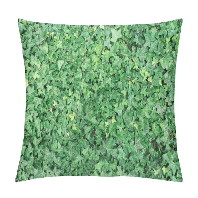 Personality  Green Wall Of Ivy Live Pillow Covers