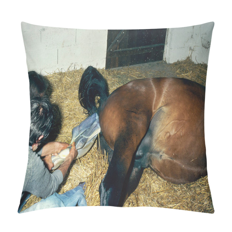 Personality  Vet Helping Mare With Foaling  Pillow Covers