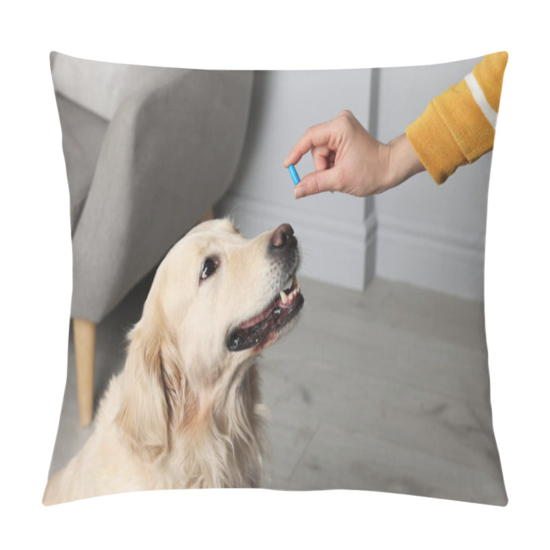 Personality  Woman Giving Pill To Cute Dog At Home, Closeup. Vitamins For Animal Pillow Covers