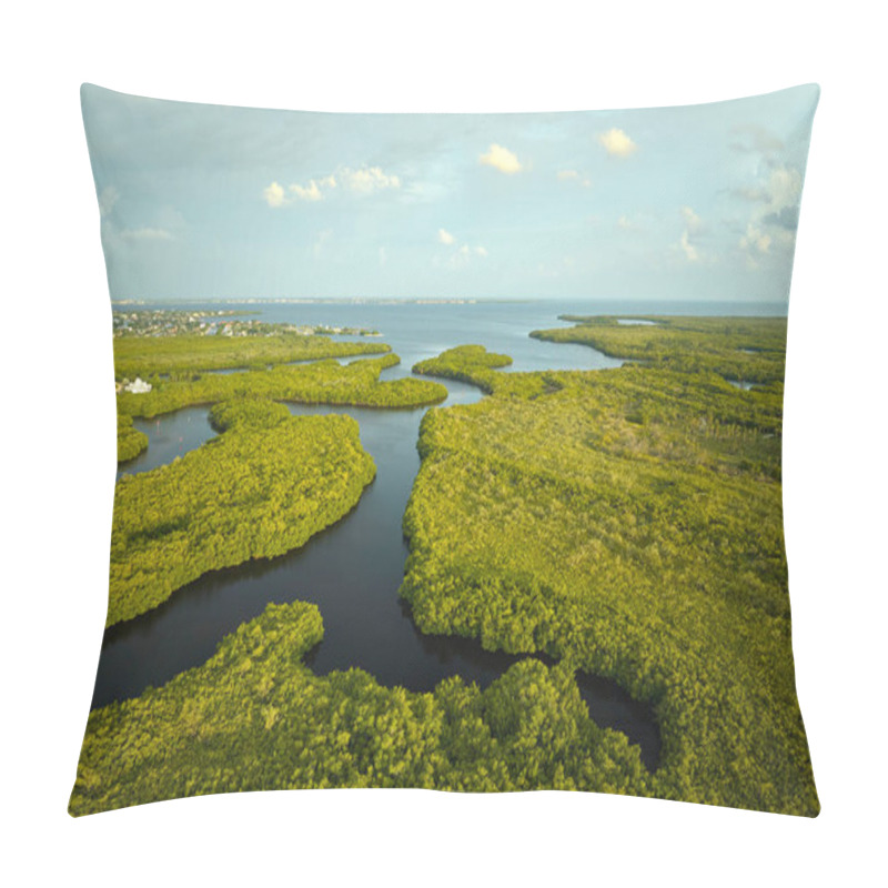 Personality  Overhead View Of Everglades Swamp With Green Vegetation Between Water Inlets. Natural Habitat Of Many Tropical Species In Florida Wetlands. Pillow Covers