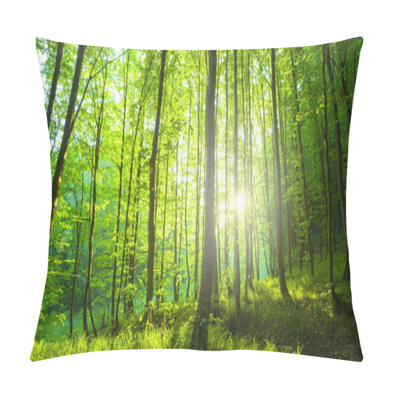 Personality  Sunlight In The Green Forest, Spring Time Pillow Covers