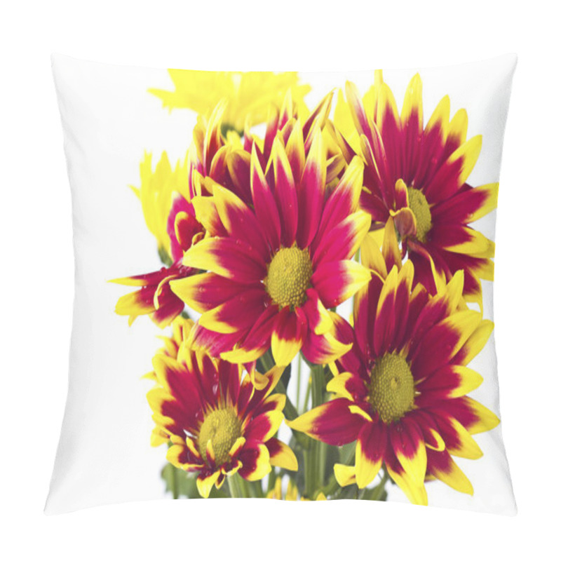 Personality  Closeup Of Pink Daisy - Gerbera. Pillow Covers