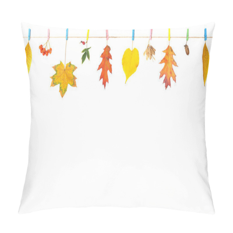 Personality  Pigmented Autumn Leaves And Vibrant Berries Fastened On A Clothes Line With Pegs Isolated On White Background. Colorful Fall Banner. Pillow Covers