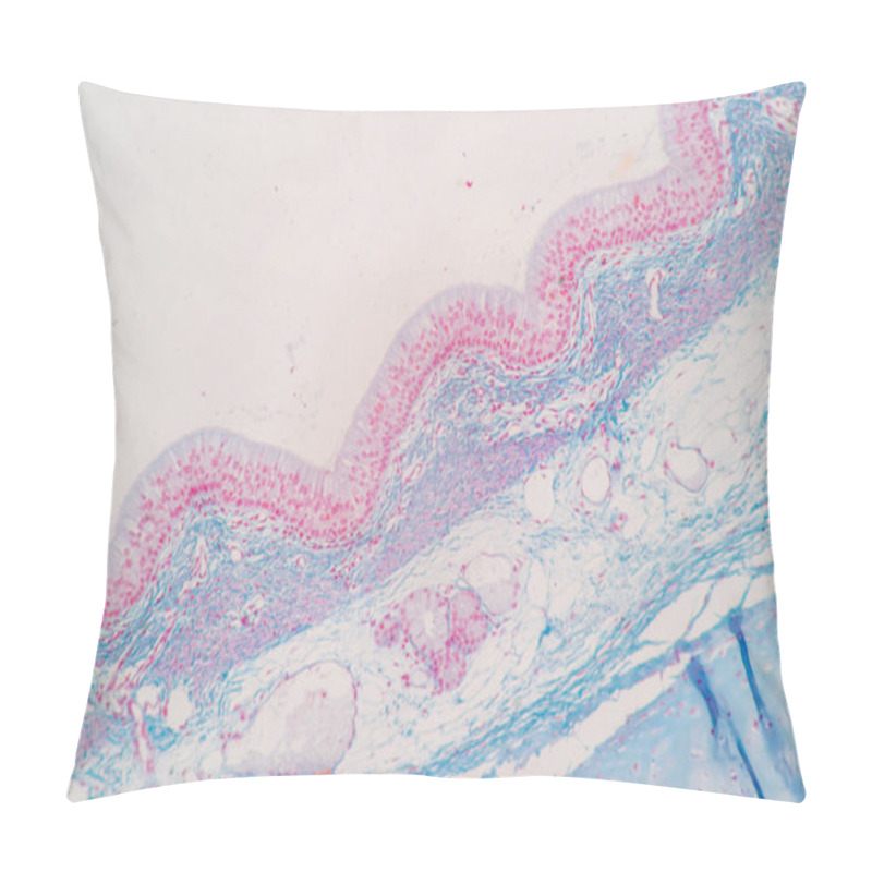 Personality  Characteristics Of Columnar Epithellum Cell (Cell Structure) Of Human Under Microscope View For Education In Laboratory. Pillow Covers