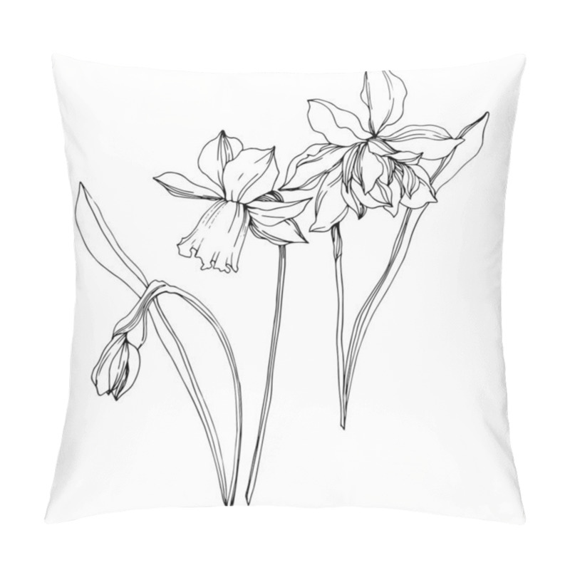 Personality  Vector Narcissus Floral Botanical Flowers. Black And White Engraved Ink Art. Isolated Narcissus Illustration Element. Pillow Covers