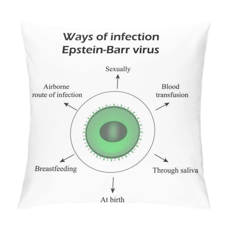 Personality  Epstein-Barr Virus. Methods Of Infection. Infographics. Vector Illustration Pillow Covers