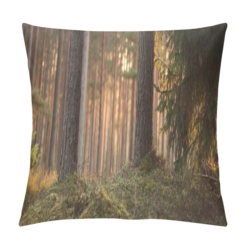 Personality  Pathway Through The Hills Of Majestic Evergreen Forest. Mighty Pine, Spruce Trees, Moss, Plants. Finland. Soft Golden Sunset Light. Idyllic Autumn Scene. Nature, Seasons, Environment, Ecotourism Pillow Covers