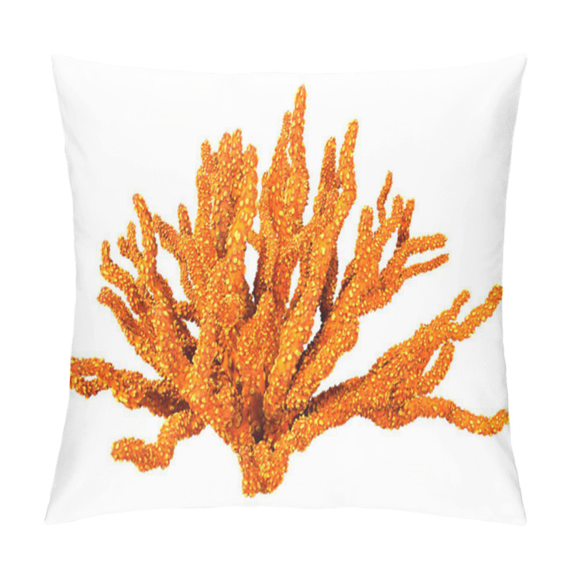 Personality  3D Rendering Of A Coral, A  Marine Invertebrate Isolated On White Background Pillow Covers