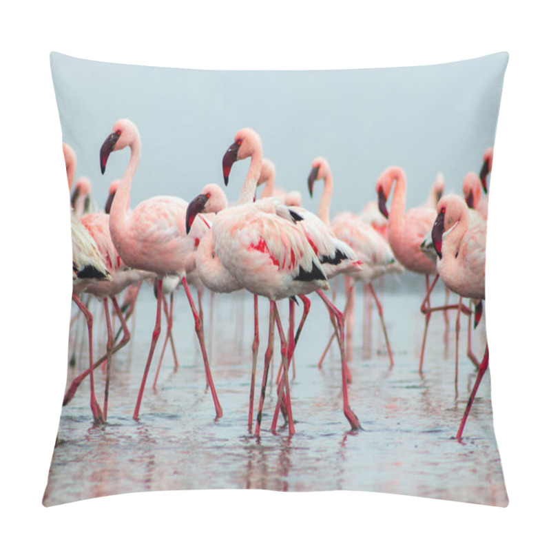 Personality  Wild African Birds. Group Birds Of Pink African Flamingos  Walking Around The Blue Lagoon On A Sunny Day Pillow Covers