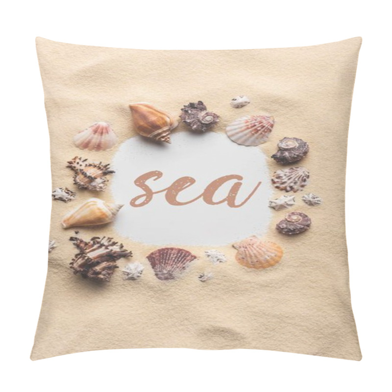 Personality  Frame Of Various Seashells On Sandy Beach With 