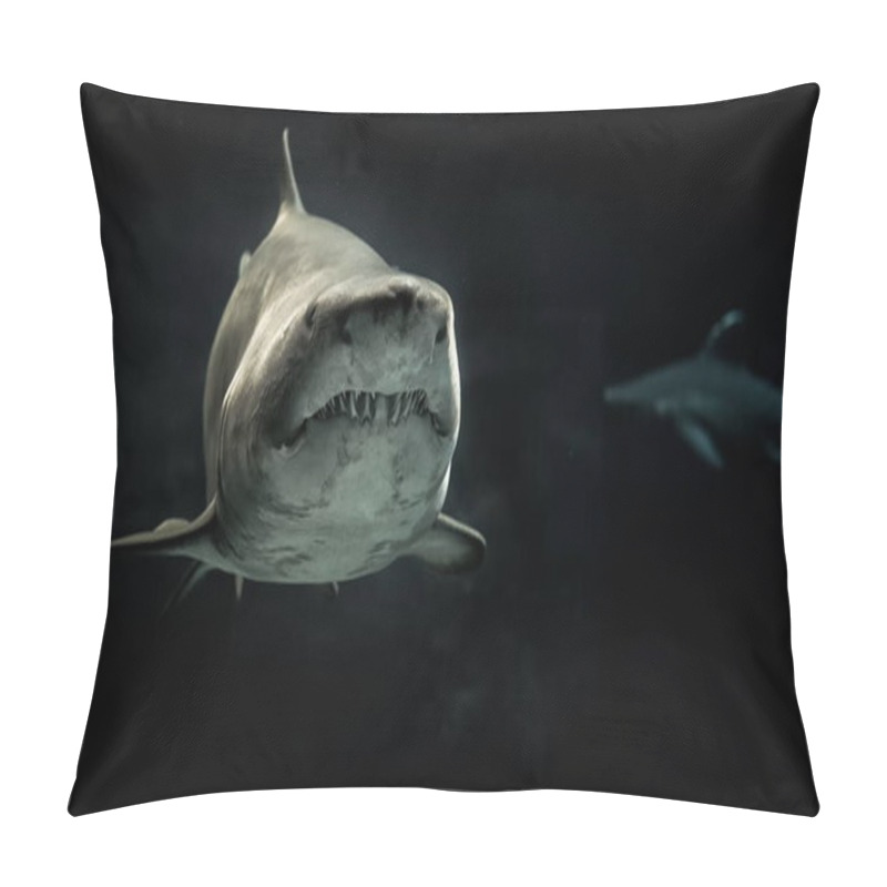 Personality  The Shark Is A Creature Of Sublime Evolution, One That Gives Life To The Ecosystem By Controlling Other Large Predators. It Has Both Purpose And A Steady Confidence, A Way Of Being That Expands Moments Instead Of Grasping The Seconds. Pillow Covers