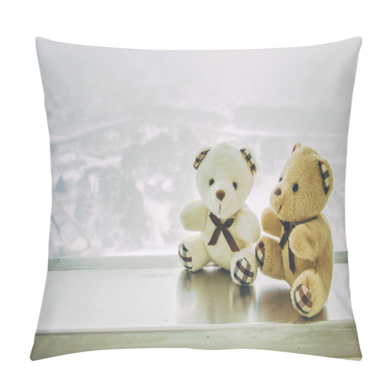 Personality  Lovely Couple Bear Sit Together Near Window Pillow Covers